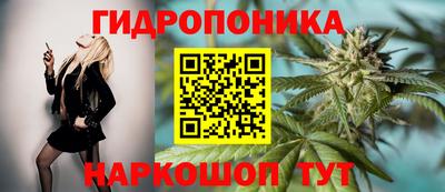 ГАЛЛЮЦИНОГЕННЫЕ ГРИБЫ Можайск