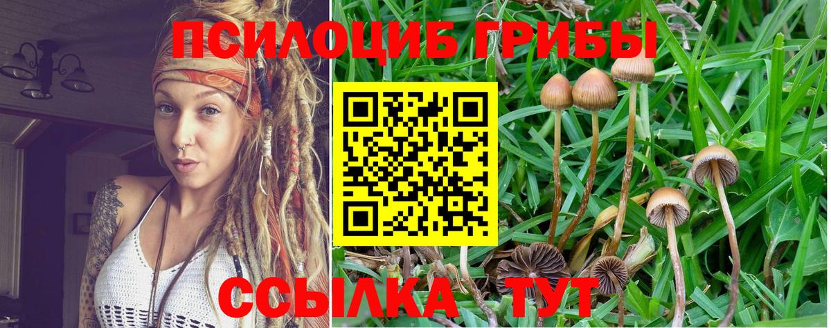 Псилоцибиновые грибы мухоморы  Вход с VPN  Соликамск 